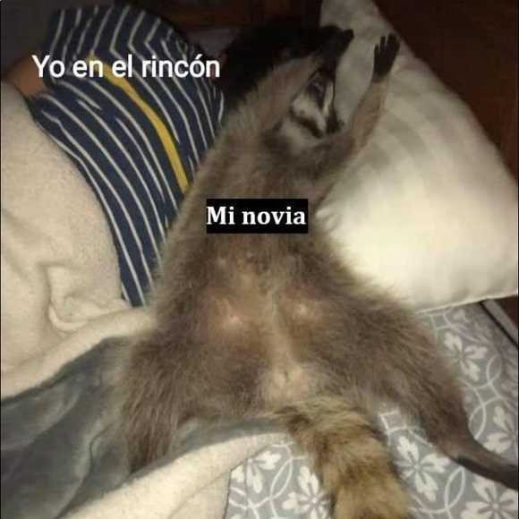 alejandromat474